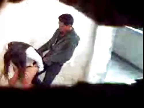 स्वेल्टे कुखुरा मियु ...